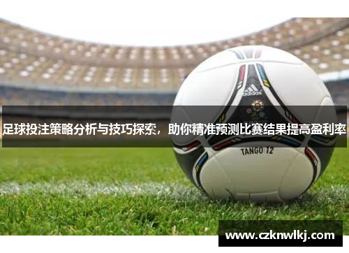 足球投注策略分析与技巧探索，助你精准预测比赛结果提高盈利率